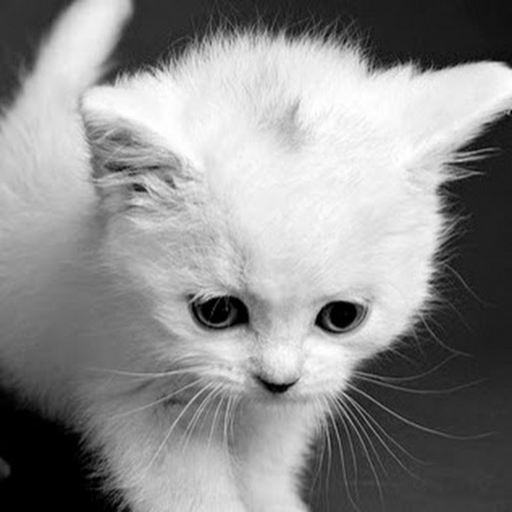 Meet your Posher, Makayla